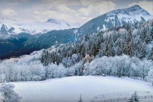 a snowy mountain with snow covered trees and mountains at Chalet Bendo - OVO Network in Villarembert