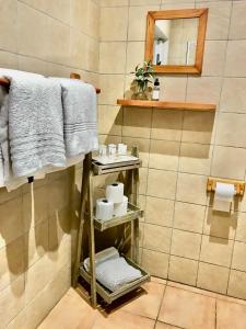 10VDW Self Catering Apartments في دوربانفيل: حمام مع رف للمناشف ومرآة