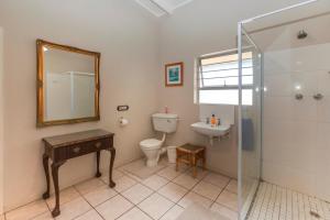 a bathroom with a toilet and a sink and a mirror at Anna's On The Beach in Cape St Francis