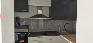 a kitchen with black cabinets and a sink at Aleksandro&Michell in Rijeka
