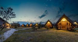 a row of lodges at night with lights on at Dolphin Camping in Sfântu Gheorghe