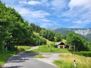 a winding road with a house and mountains in the background at Tinyhaus Villa to go in Reichenau