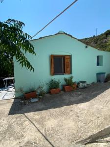 a house with a window and potted plants in front of it at Tiny Big House in Fanari