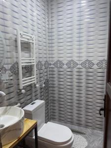 Sunny guesthouse في كازباجي: حمام مع مرحاض ومغسلة