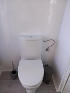 a bathroom with a white toilet in a room at Hausboat David in Hrdoňov