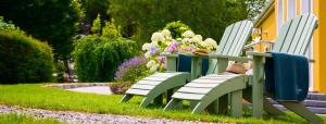 Um jardim em The Killarney Park