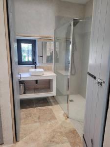 a bathroom with a glass shower and a sink at Appartement 2 pers + terrasse in Saint-Rémy-de-Provence