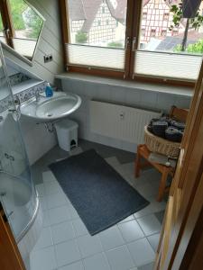 a small bathroom with a sink and a shower at Ferienwohnung Hopfengärtner in Hiltpoltstein