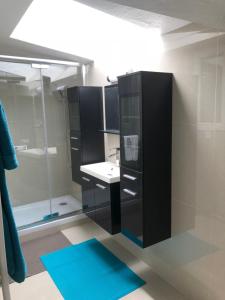 a bathroom with a sink and a shower at maison blanche in Eymet +34 photos