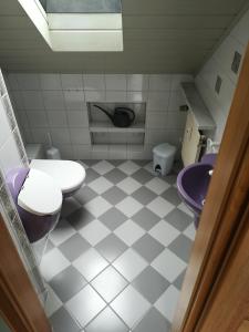a bathroom with a toilet and a sink at Ferienwohnung Hopfengärtner in Hiltpoltstein