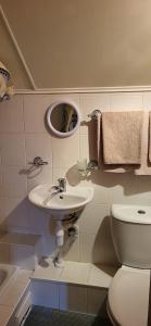 La salle de bains est pourvue d'un lavabo, de toilettes et d'un miroir. dans l'établissement Meškiai, à Meškiai