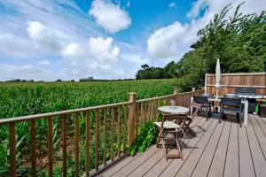 a wooden deck with tables and chairs in front of a field at Owlet Lodge in Chislet