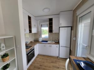 A kitchen or kitchenette at Apartman LALA