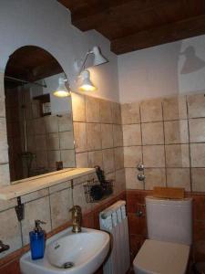La salle de bains est pourvue d'un lavabo, de toilettes et d'un miroir. dans l'établissement Casapirineos Apartamentos, à Ulle