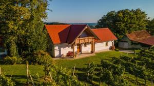 a house with an orange roof on a green yard at Villa VINEYARD in Velika Nedelja