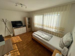 a living room with a bed and a television at Nita in Frickenhausen