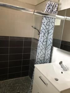 ein Bad mit einem Duschvorhang und einem Waschbecken in der Unterkunft Appartement à 15min de la mer in Montblanc