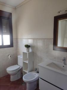 y baño con aseo, lavabo y espejo. en Preciosa casa de pueblo “La fontita 5”, en Villablanca