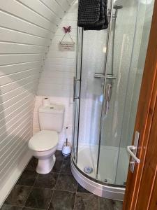 a small bathroom with a toilet and a shower at Acorns Luxury Glamping in Holywell