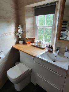 a bathroom with a toilet and a sink and a window at Elim in Dartmouth with stunning River Dart view in Dartmouth