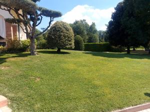 ein grüner Hof mit einem Baum und einigen Büschen in der Unterkunft Villa Elena in Salzano