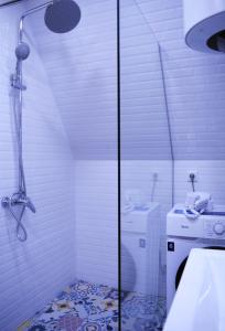 a bathroom with a shower and a washing machine at Panorama Racha in Ambrolauri