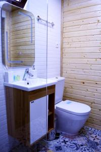 a bathroom with a toilet and a sink and a mirror at Panorama Racha in Ambrolauri