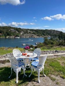 Hjälteby的住宿－Sea view chalet，一张桌子和椅子,享有河景