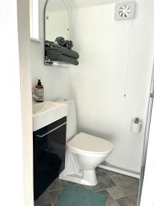 uma casa de banho com um WC, um lavatório e um espelho. em Sea view chalet em Hjälteby
