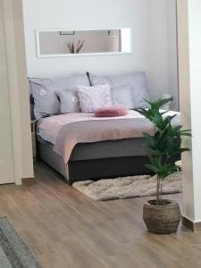 a bed with pillows and a plant in a room at Várfal apartman in Eger