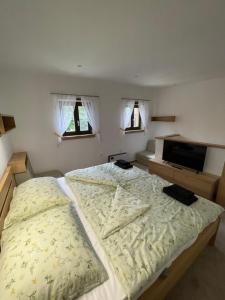 um quarto com uma cama grande e uma televisão de ecrã plano em Ubytování u Kolóška em Pístovice