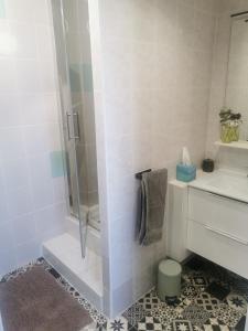 een badkamer met een douche en een wastafel bij Guest House Casa Cassien in Montauroux