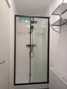 a shower with a glass door in a bathroom at Zárda utcai Apartman in Kaposvár
