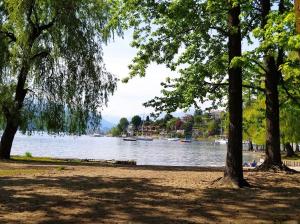a view of a body of water with trees at Casa Nonna Elide 2 in Besozzo