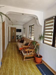 a living room with a couch and a table at Casa Elena in Voineşiţa