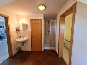 ein Bad mit einem Waschbecken und einer Dusche in der Unterkunft Boddenhus Apartment in Gager