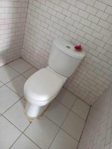 a white toilet in a bathroom with a red flower on it at Bosofet Beach and Creek Lodge in Sanyang