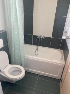 ein Badezimmer mit einem WC, einer Badewanne und einer Dusche in der Unterkunft Hotel centar in Gornji Milanovac