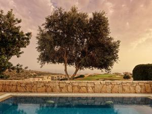 Bazén v ubytování Aphrodite Hills Hotel nebo v jeho okolí