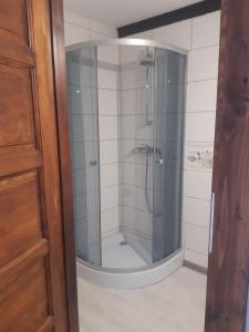 a shower with a glass door in a bathroom at Apartamenty pod Kicarzem in Piwniczna-Zdrój