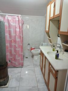 baño con aseo y cortina de ducha rosa en Bolu dağ evi at yaylası, 