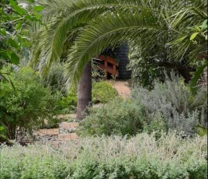 Κήπος έξω από το Birdsong Cottage