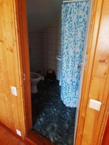 Koupelna v ubytování Pensiunea codru