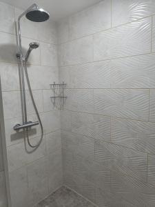 łazienka z prysznicem z głowicą prysznicową w obiekcie APARTHOTEL w mieście Narwa