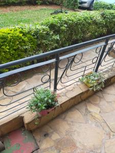 a metal railing with plants on a stone step at Beautiful spacious room in Nairobi