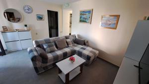 a living room with a couch and a table at Apartments Damjan in Brist