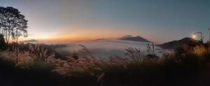 a foggy field with a mountain in the background at jungle camping in Baturaja