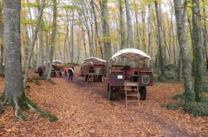 una fila de árboles en una zona boscosa con gente caminando delante en Apto. grande, luminoso y centrico, en Olot