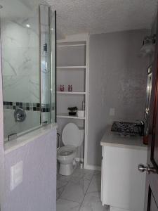 uma casa de banho com um WC e uma cabina de duche em vidro. em Residencia preciosa de 2 planta em San Salvador