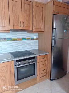 a kitchen with wooden cabinets and a stainless steel refrigerator at Άγρια Λούλουδα Κατοικία Αρμονία in Timfristós